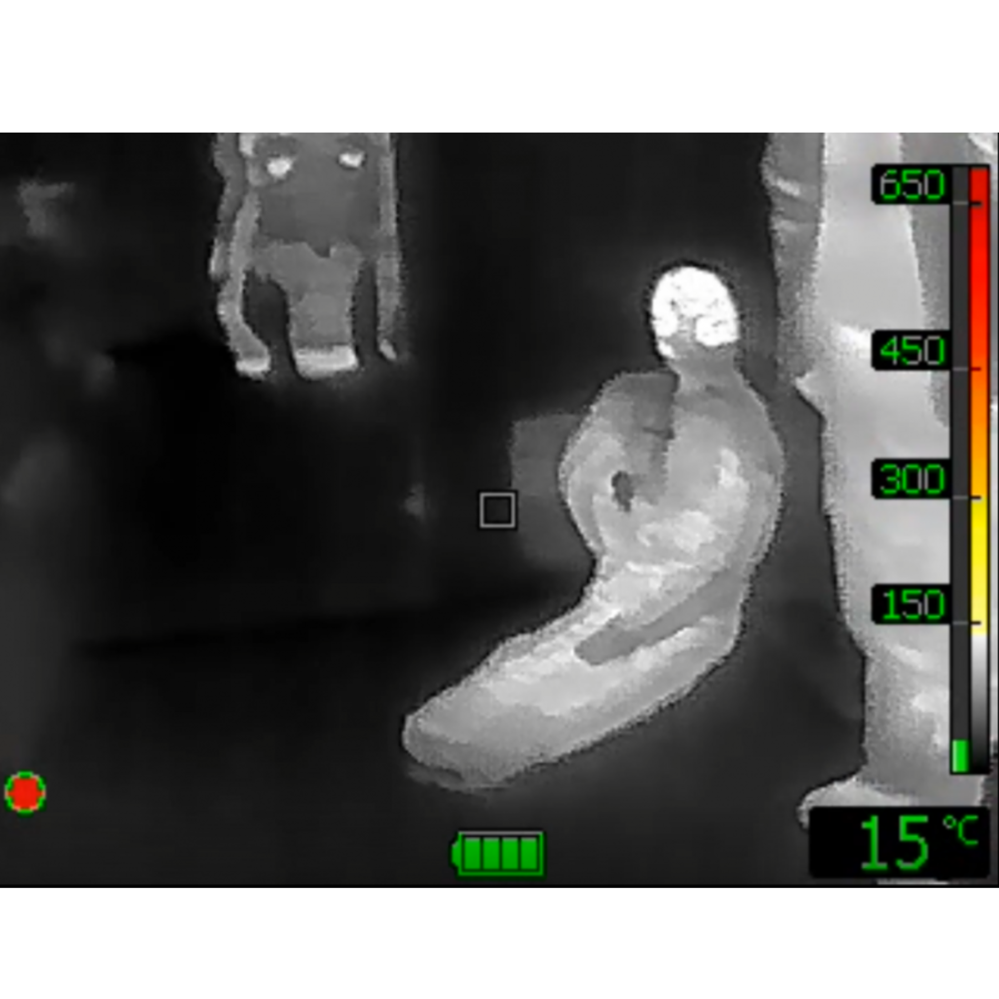 Feelig The Heat During Training - Manikins with Thermal Imaging Capabilities- Ruth Lee